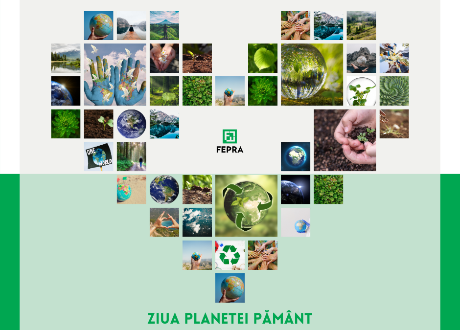 Uităm de Pământ, zi de zi!
